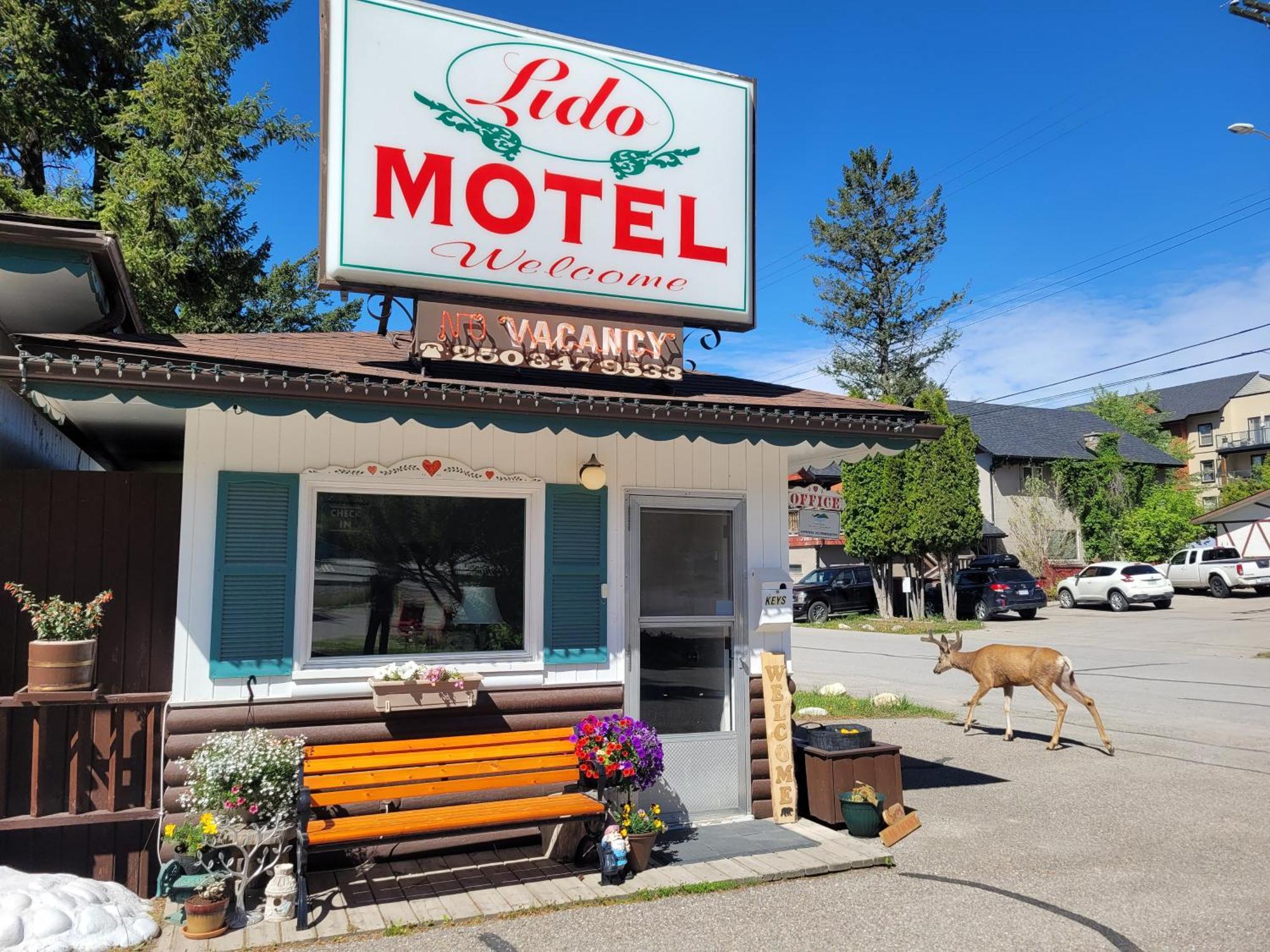 Lido Motel Radium Hot Springs Zewnętrze zdjęcie