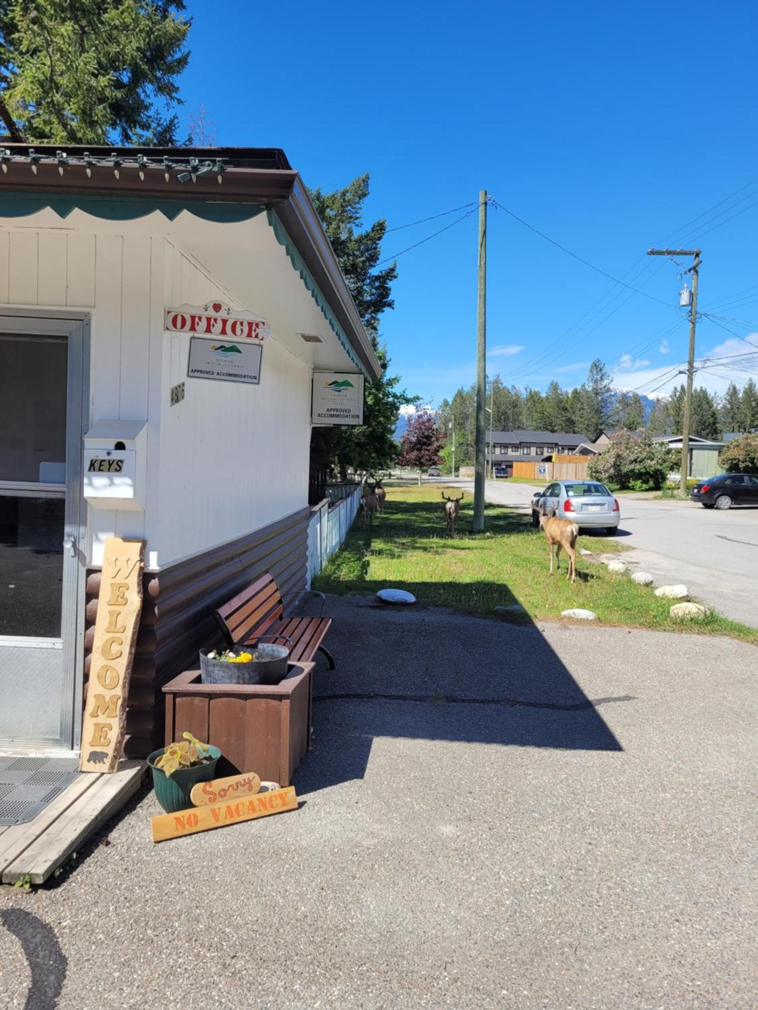 Lido Motel Radium Hot Springs Zewnętrze zdjęcie
